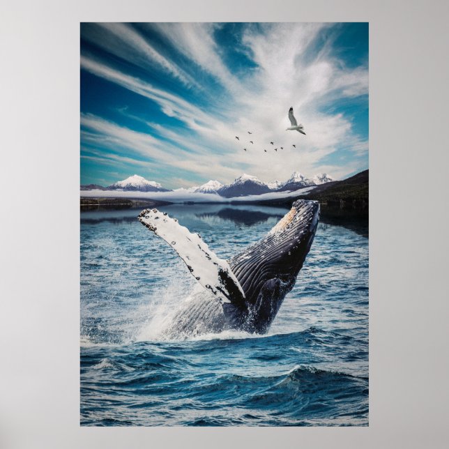 Affiche Baleine boréale (Devant)