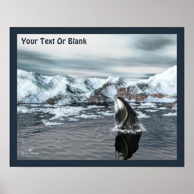 Affiche Baleine boréale (Devant)