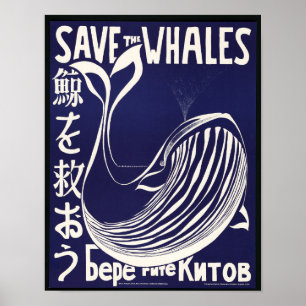 Affiche Baleine Non-Identifié Photos Vintages Vieux Pictur