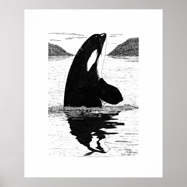 Affiche Baleine tueuse, stylo et encre (Devant)