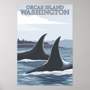 Affiche Baleines #1 - orques île, Washington d'orque