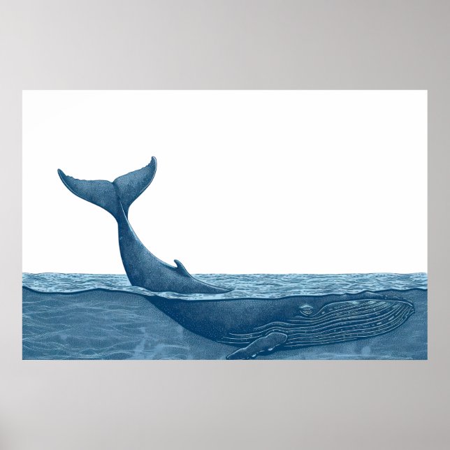 Affiche Baleines dans l'océan (Devant)