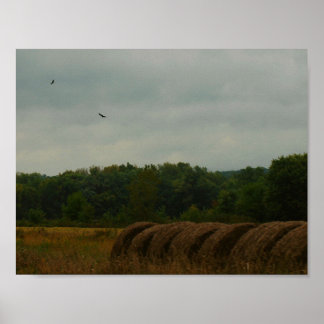 Affiche Bales de pays