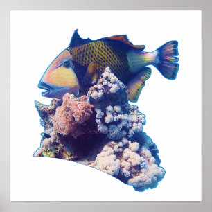 Affiche Baliste - Vue de culture biologique sur un récif c