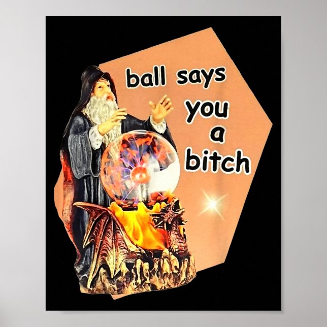 Affiche Ball Says You A Btch Meme  (Devant)