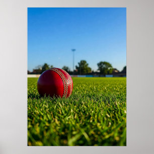 Affiche Balle de cricket sur la marque de limite