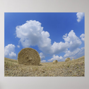 Affiche Balles de foin dans le domaine, Pienza, d'Orcia de