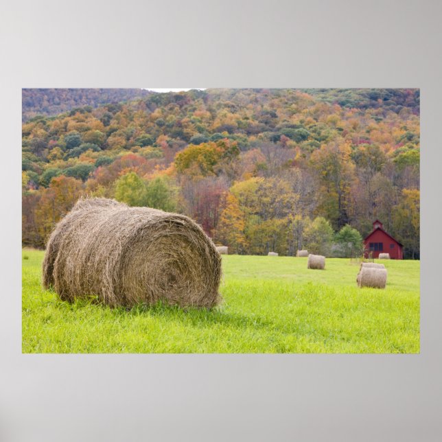 Affiche Balles de foin et feuillage d'automne à la ferme, (Devant)