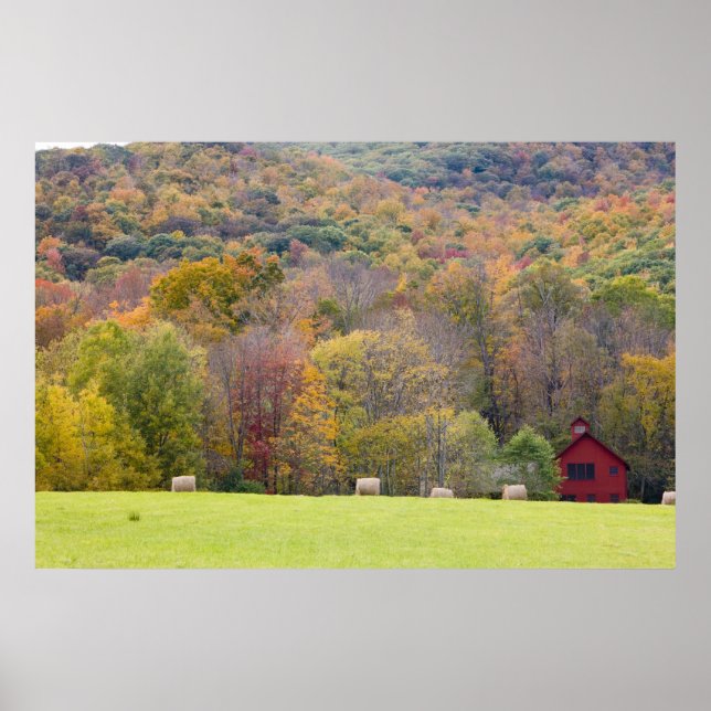 Affiche Balles de foin et feuillage d'automne, dans une fe (Devant)