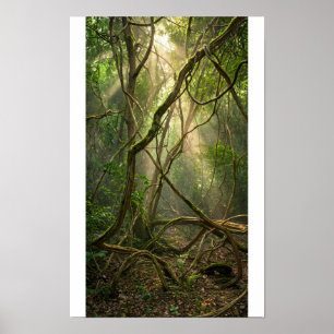 Affiche Balles de golf de la forêt mystique de Namal Uyana