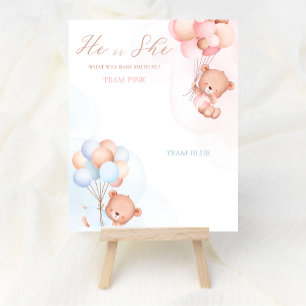 Affiche Balloon Bear Boy or Girl Genre Reveillez Voter Pos