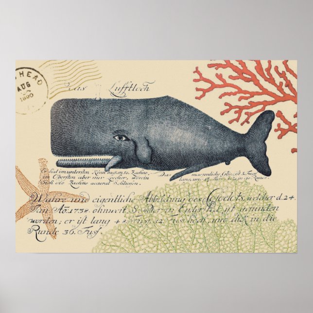 Affiche Balnéaire Blue Whale Collage (Devant)