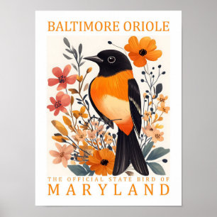 Affiche Baltimore Oriole Bird of Maryland USA Travel