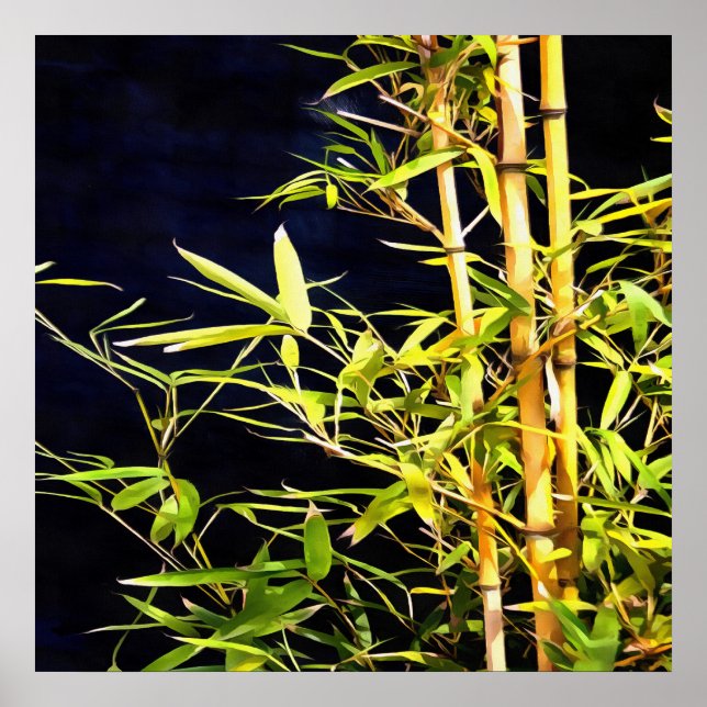 Affiche Bamboo Foliage Tropical Art On Black (Devant)