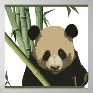 Affiche Bamboo Panda