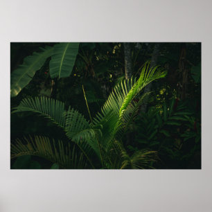 AFFICHE BANANE VERTE EN JOURNÉE