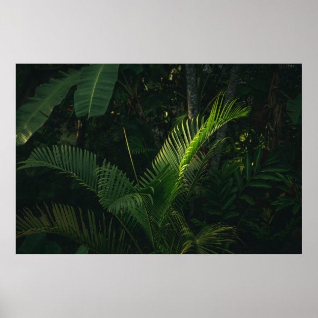 AFFICHE BANANE VERTE EN JOURNÉE (Devant)