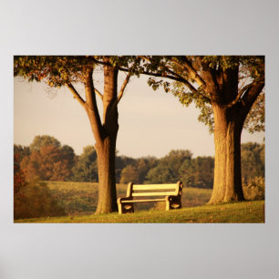Affiche Banc au coucher du soleil