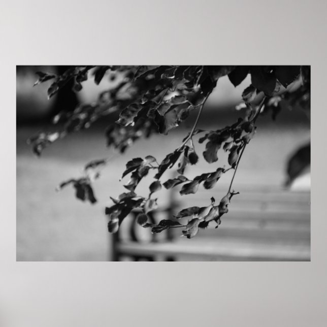 Affiche Banc de parc (Devant)