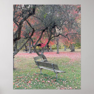 Affiche Banc de parc à l'affiche d'automne