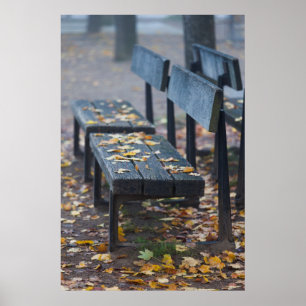 Affiche Banc de parc brumeux matin, Allemagne