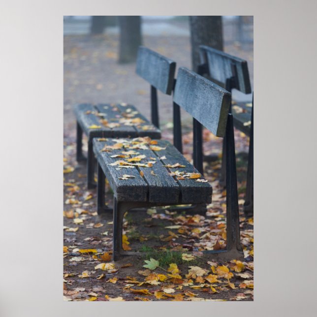 Affiche Banc de parc brumeux matin, Allemagne (Devant)