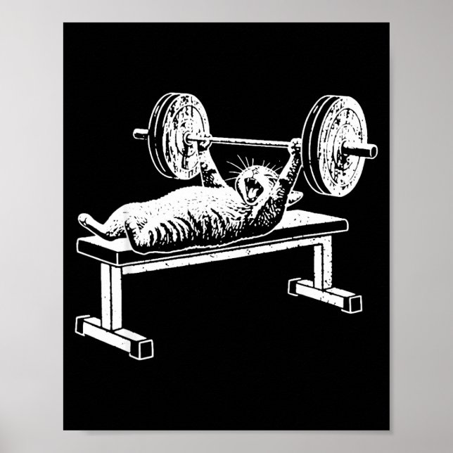 Affiche Banc de presse de chat drôle salle de sport chat m (Devant)