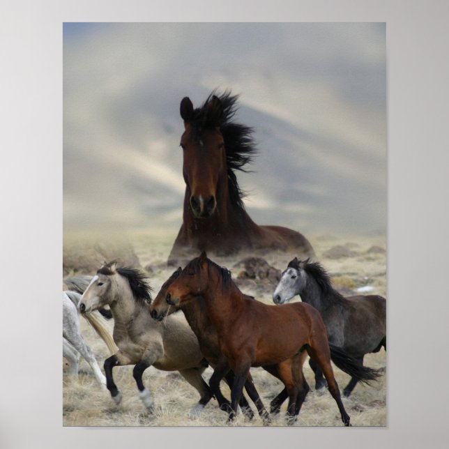 Affiche Bande d'une (Devant)