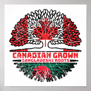 Affiche Bangladesh Bangladesh Canadian Canada Tree Roots