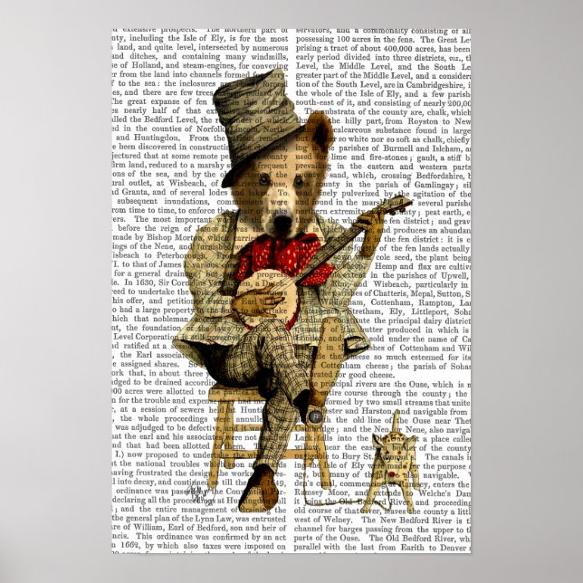 Affiche Banjo Bear (Devant)