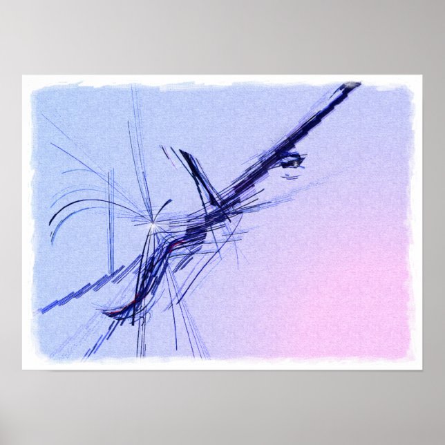 Affiche Banjo en C Major (Devant)