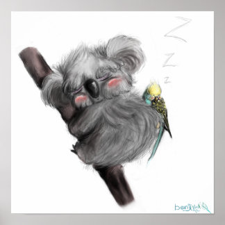 Affiche Banjo Koala et Benji Bird