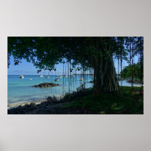 Affiche Banyan at the Beach