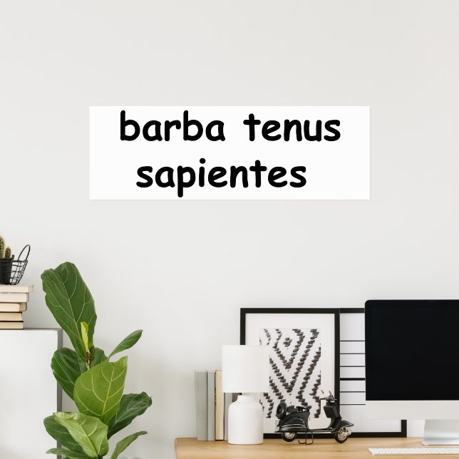 Affiche barba (Bureau à domicile)