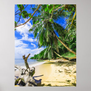 Affiche Barbade Caribbean Island Beach Palm Tree Retraite