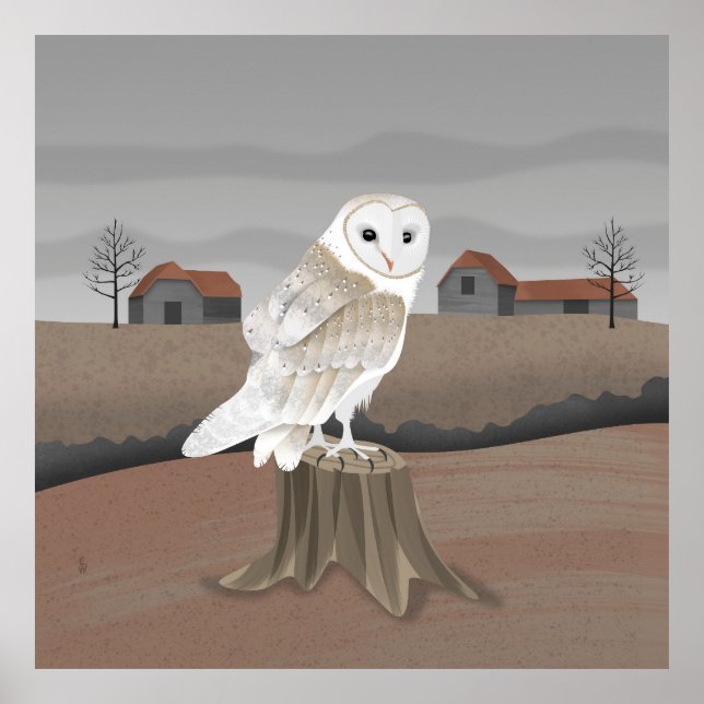 Affiche Barn Owl (Devant)