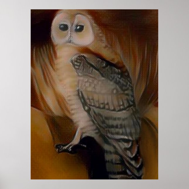 Affiche Barn Owl 🦉 (Devant)