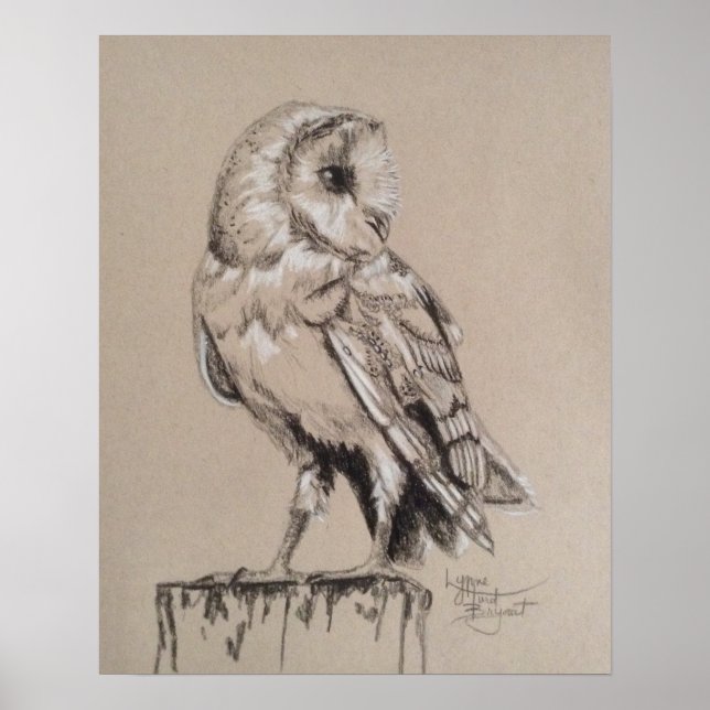 Affiche Barn Owl (Devant)