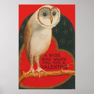Affiche Barn Owl Heart Tree Stars Valentine