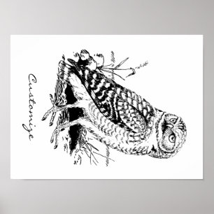 Affiche Barne Owl Thunder_Cove