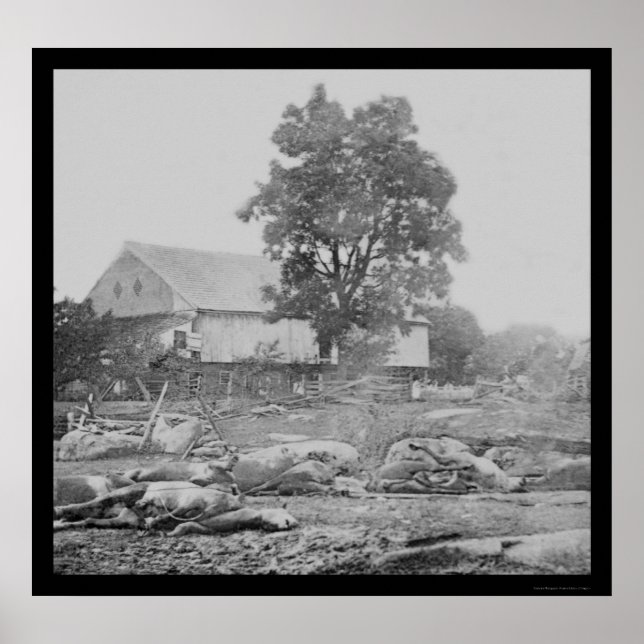 Affiche Barnyard et chevaux à Gettysburg 1863 (Devant)