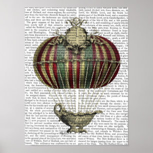 Affiche Baroque Fantasy Balloon