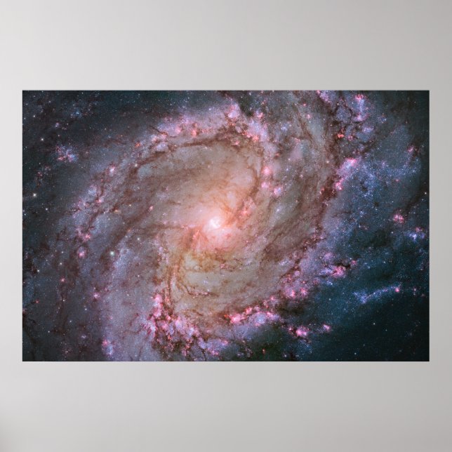 Affiche Barred Spiral Galaxy Messier 83. (Devant)