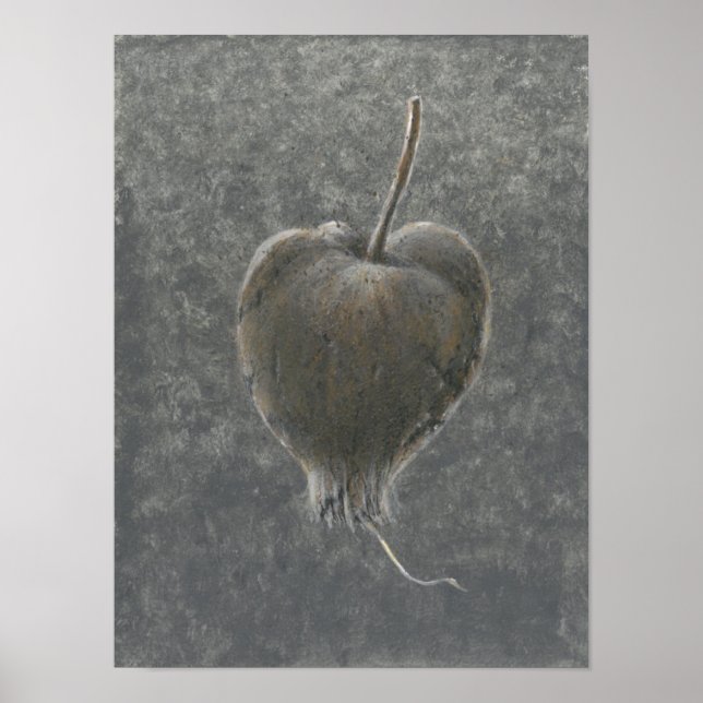 Affiche Barringtonia Acutangula 2 (Devant)