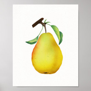 Affiche Bartlett Juicy Pear Fruit Kitchen