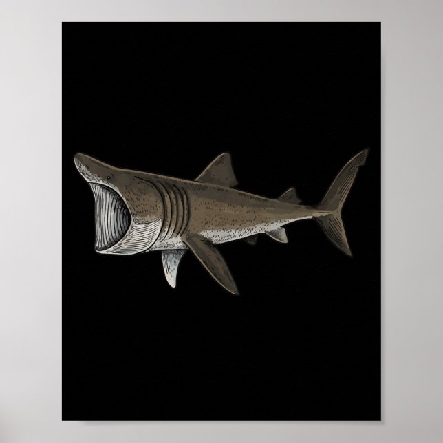 Affiche Basking Shark (Devant)