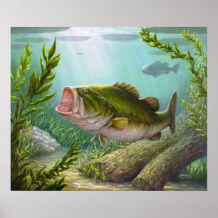 Affiche Bass Fish