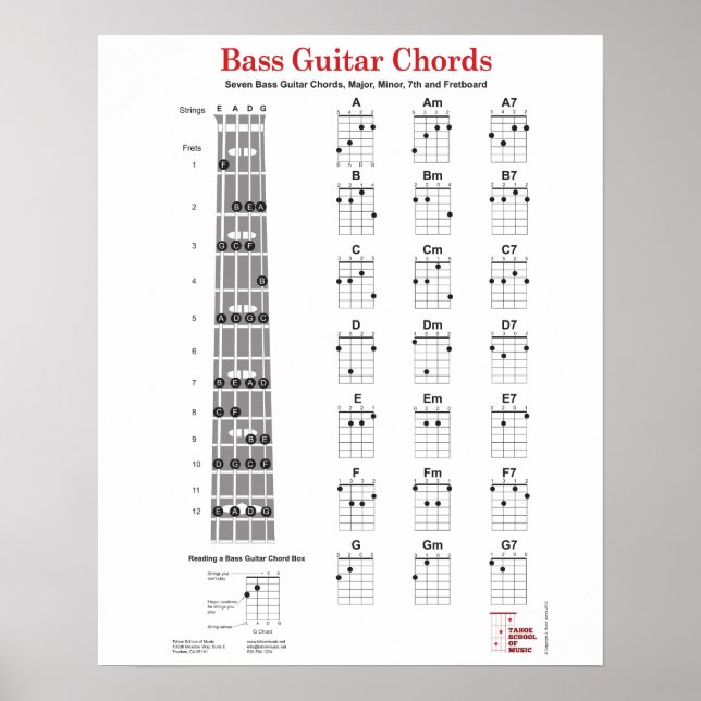 Affiche Bass Guitar Chord Doigt et Fretboard (Devant)