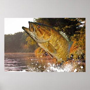 Affiche Basse Smallmouth
