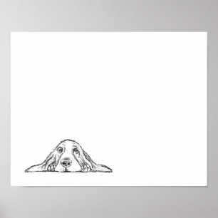 Affiche basset blanc